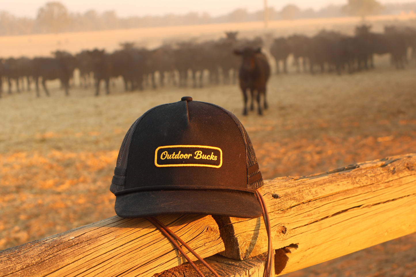 Outdoor Bucks Black & Gold Trucker Cap